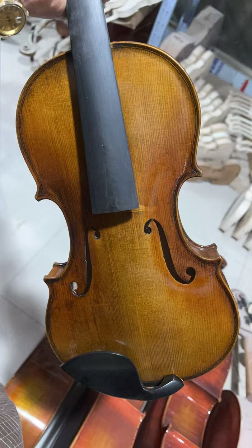Musical Instruments 4/4 Carvin - Musical Instruments Online บทวิจารณ์และราคา
