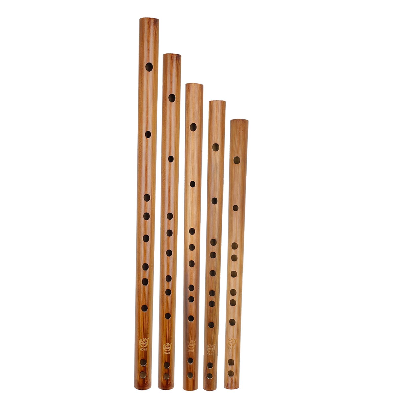 Unique Birthday Gift ,Indian W - Musical Instrument From India บทวิจารณ์และราคา