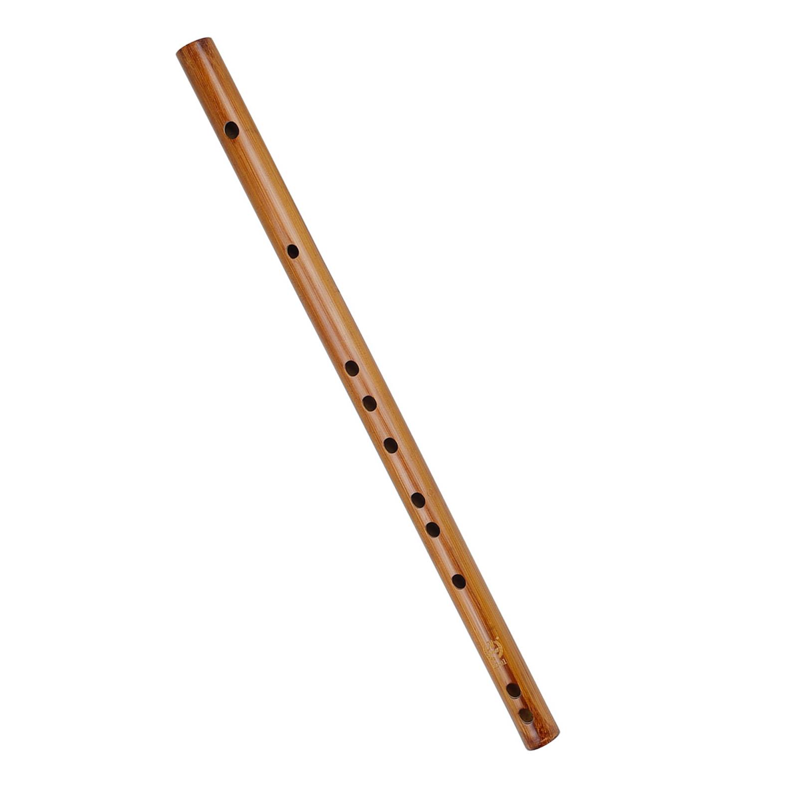 Unique Birthday Gift ,Indian W - Musical Instrument From India บทวิจารณ์และราคา