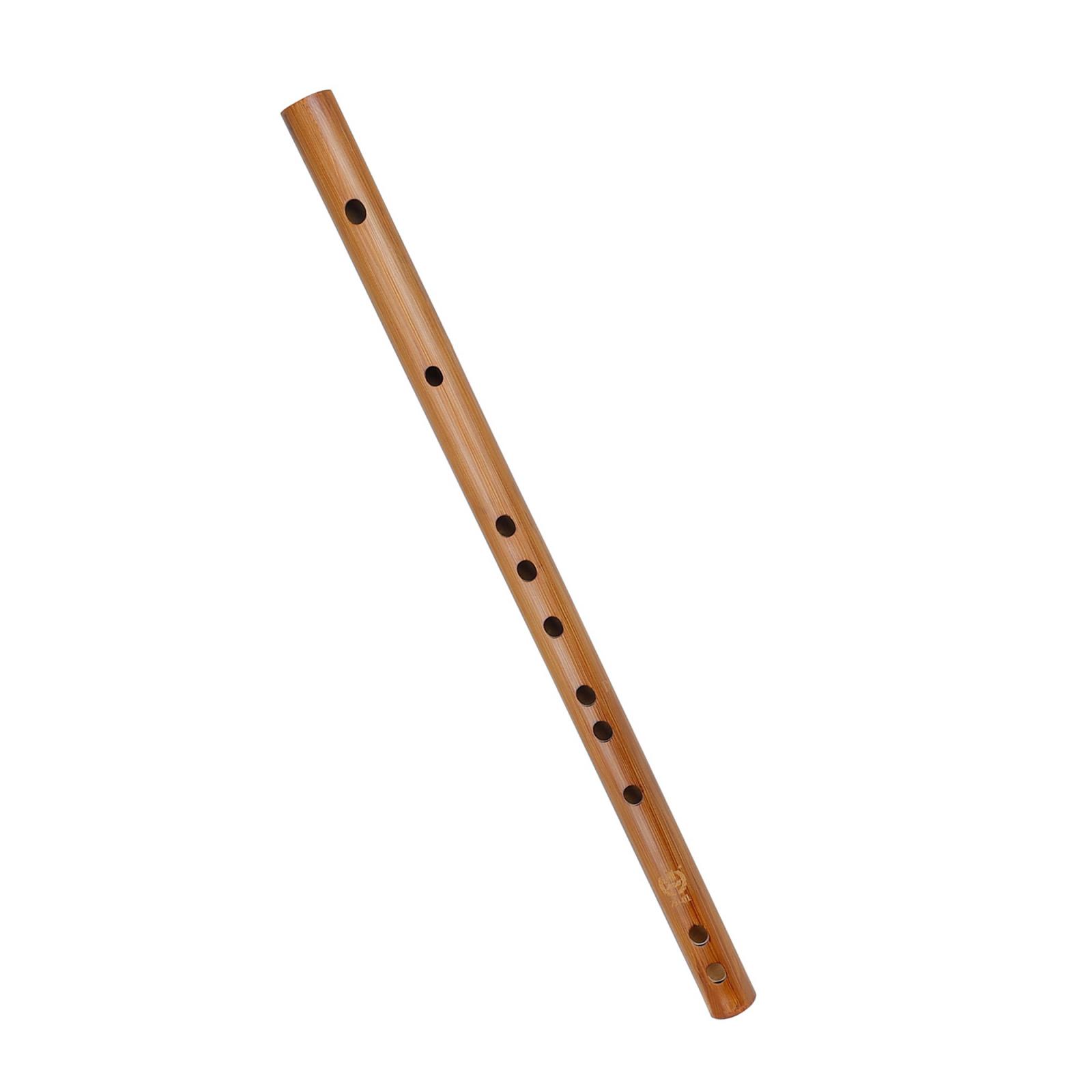 Unique Birthday Gift ,Indian W - Musical Instrument From India บทวิจารณ์และราคา