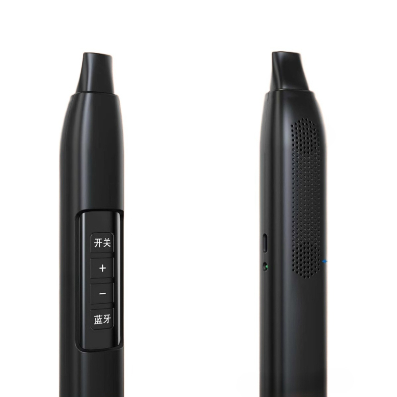Portable Electronic Wind Instr - Musical Instrument For Beginners บทวิจารณ์และราคา
