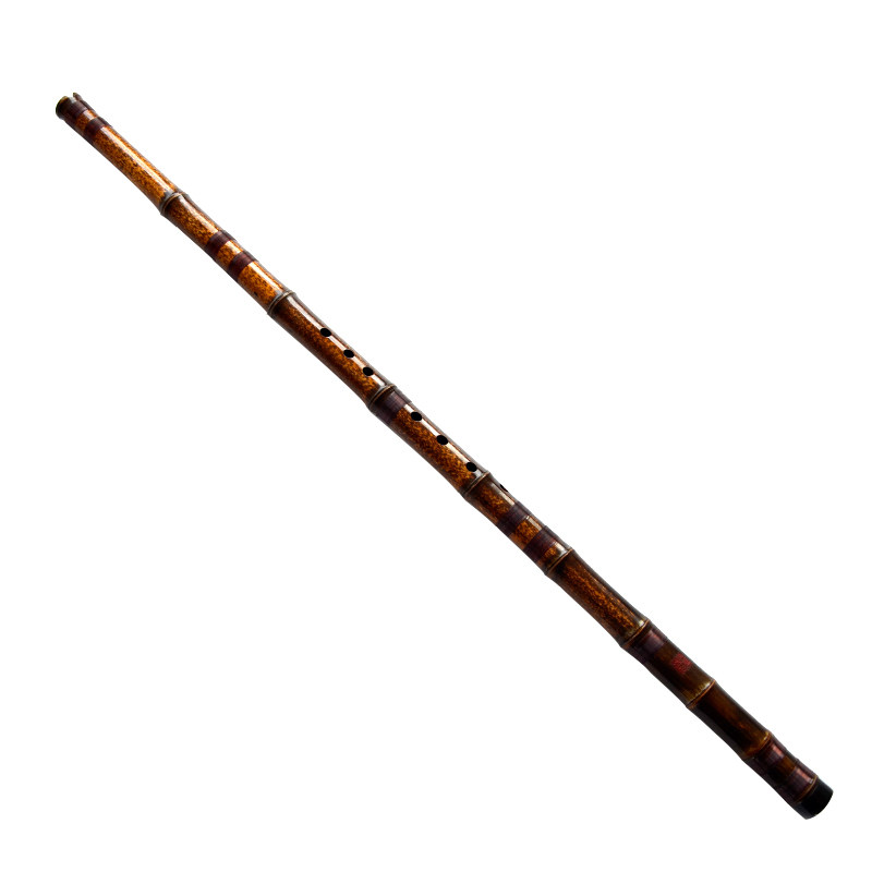 YPXD Dong Xiao Flute Purple Ba - Musical Instrument Xiao บทวิจารณ์และราคา