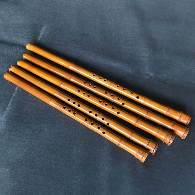 8 Hole Bamboo Xiao Performance - Musical Instrument Xiao บทวิจารณ์และราคา