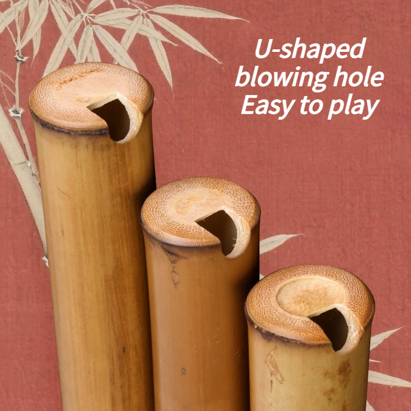 8 Holes Xiao Beginners Profess - Musical Instrument Xiao บทวิจารณ์และราคา
