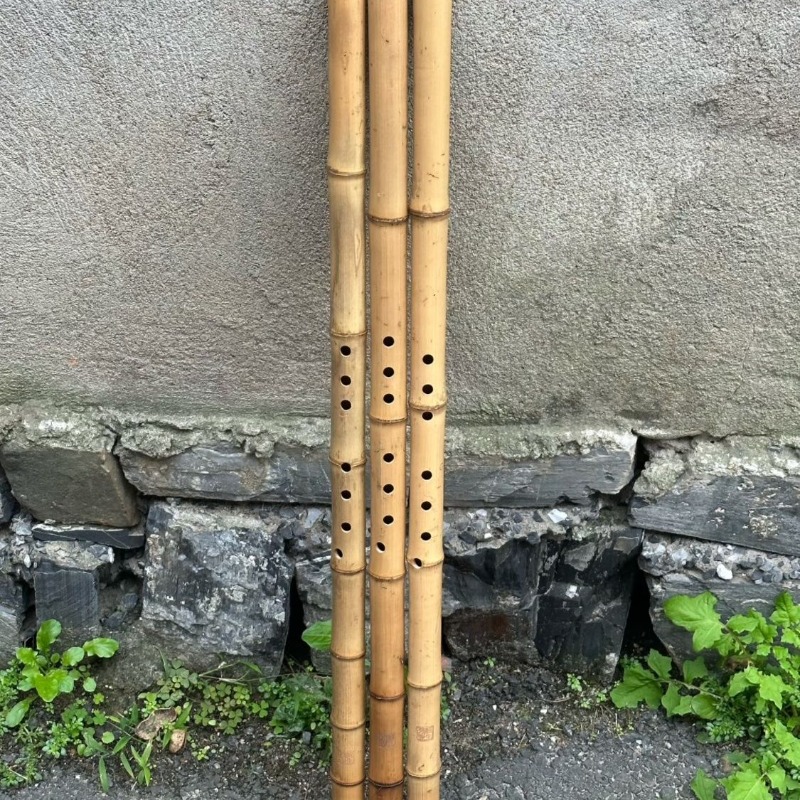 Traditional Dongxiao 8 Hole Pr - Musical Instrument Xiao บทวิจารณ์และราคา