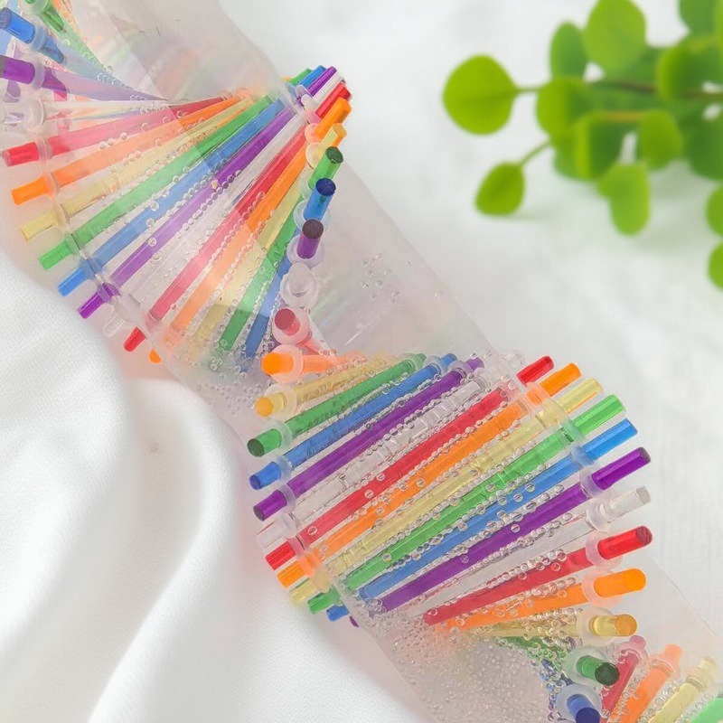 Acrylic Rain Stick Meditation  - Rain Stick Percussion บทวิจารณ์และราคา