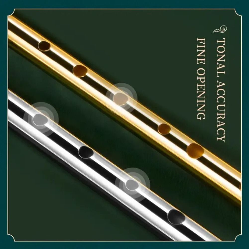 6 Holes C/D Key Irish Whistle  - Musical Instrument Irish บทวิจารณ์และราคา