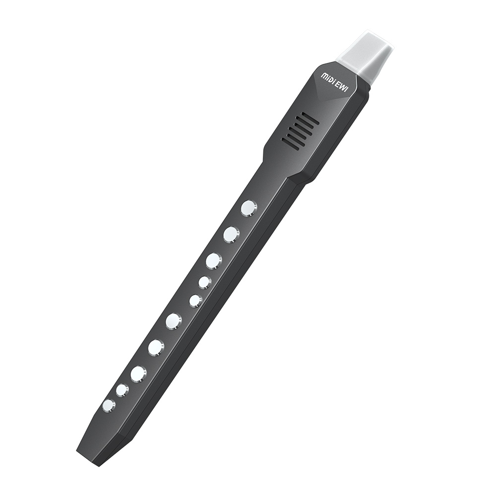 Small Transverse Flute Electro - Musical Instrument Irish บทวิจารณ์และราคา