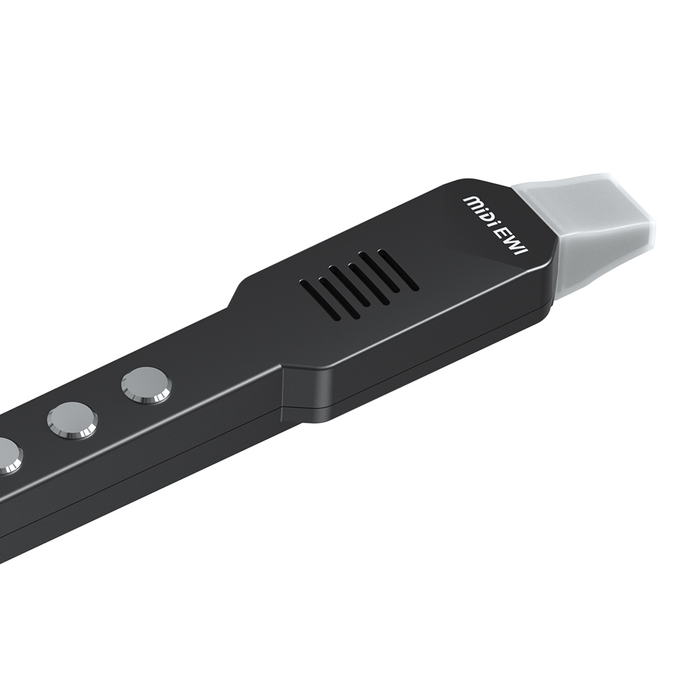 Small Transverse Flute Electro - Musical Instrument Irish บทวิจารณ์และราคา