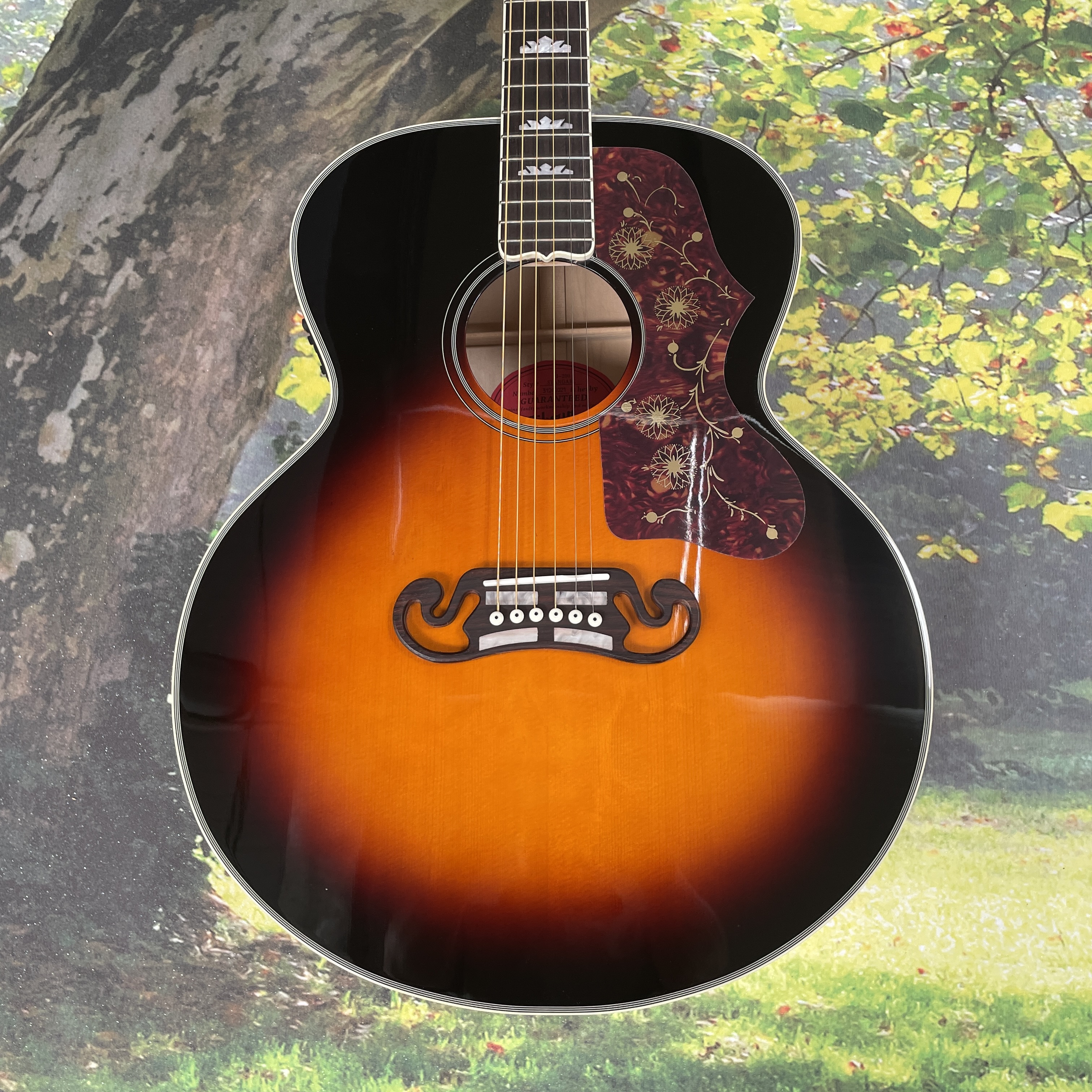 Acoustic electric guitar - 43- - Musical Instrument For Beginners บทวิจารณ์และราคา